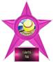 Hasty Awards Softball Stellar Ice 7" Trophies