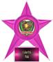 Hasty Awards Softball Stellar Ice 7" Trophies