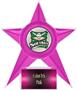 Hasty Awards Softball Stellar Ice 7" Trophies