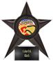 Hasty Awards Softball Stellar Ice 7" Trophies