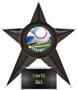 Hasty Awards Baseball Stellar Ice 7" Trophy
