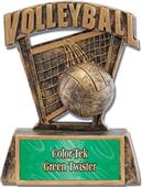 Hasty Awards ProSport 6" Volleyball Resin Trophies Hasty Awards ProSport 6" Volleyball Resin Trophies