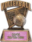 Hasty Awards ProSport 6" Volleyball Resin Trophies Hasty Awards ProSport 6" Volleyball Resin Trophies