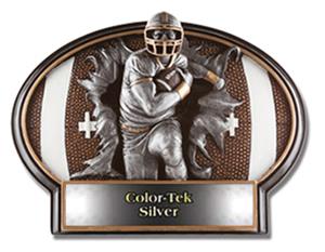 SILVER COLOR-TEK