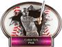 Hasty Awards Baseball Burst-Out Resin Trophies