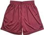 Martin Basketball Tricot Mesh Shorts