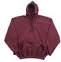 Martin Pullover Hooded Sweatshirts