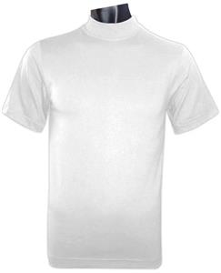 mock sleeve short turtleneck heavyweight