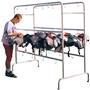 Football Combo Helmet /Shoulder Pad Racks