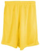 Fit 2 Win Men's/Youth Tahoe Athletic Mesh Shorts