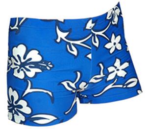 HIBISCUS BLUE
