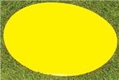Fisher Molded Rubber Multi-Sport Disk Markers Fisher Molded Rubber Multi-Sport Disk Markers