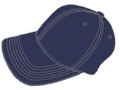 Teamwork Performance Umpire Caps