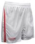 Sarson USA International Soccer Shorts