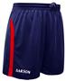 Sarson USA International Soccer Shorts