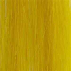 SHOUT OUT YELLOW