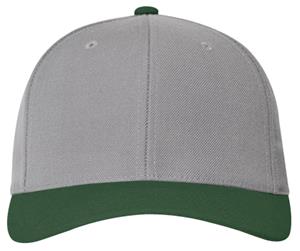 SILVER/DARK GREEN
