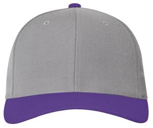 SILVER/PURPLE