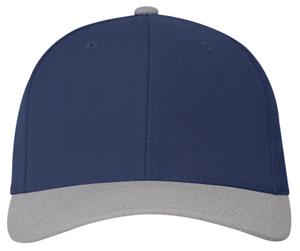 NAVY/SILVER