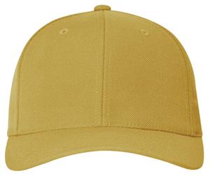 VEGAS GOLD