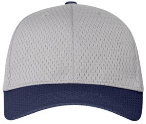 SILVER/NAVY