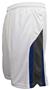 Pennant Flatback Mesh Intramural Shorts