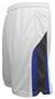 Pennant Flatback Mesh Intramural Shorts