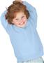LAT Sportswear Toddler/Juvy Fleece Sweatshirts