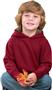 LAT Sportswear Toddler Fleece Hooded Sweatshirts