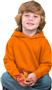 LAT Sportswear Toddler Fleece Hooded Sweatshirts
