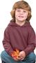 LAT Sportswear Toddler Fleece Hooded Sweatshirts
