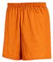 Mini Mesh Basketball Shorts 7" Inseam Closeout