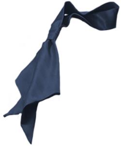 007 NAVY