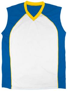 18 - WHITE/ROYAL/GOLD