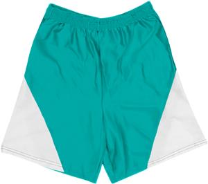 36 - TEAL/WHITE