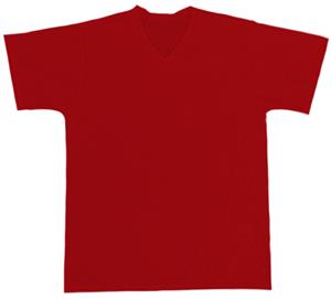 20 - CARDINAL