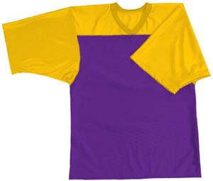 28 - PURPLE/GOLD
