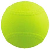 Champion Light Weight 12" Pitching Machine Ball-DZ