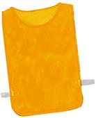 Champion Sports Deluxe Practice Pinnies (dozens) Champion Sports Deluxe Practice Pinnies (dozens)