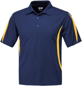 NAVY/GOLD