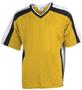 Teamwork Adult & Youth Phenom Soccer Jerseys
