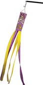 COLLEGIATE East Carolina Windsock w/Streamers