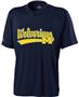 Holloway Collegiate Michigan Ball Park Jersey