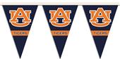 COLLEGIATE Auburn Party Pennant Flags