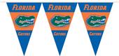 COLLEGIATE Florida Party Pennant Flags