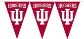 COLLEGIATE Indiana Party Pennant Flags
