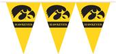 COLLEGIATE Iowa Party Pennant Flags