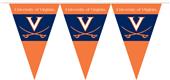 COLLEGIATE Virginia Party Pennant Flags