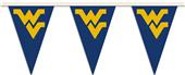 COLLEGIATE West Virginia Party Pennant Flags