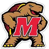 COLLEGIATE Maryland 12" Vinyl Magnet COLLEGIATE Maryland 12" Vinyl Magnet